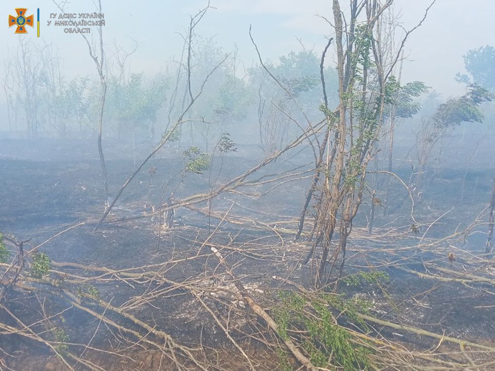 Внаслідок обстрілів та через необережне поводження з вогнем: за добу на Миколаївщині спалахнуло 5 пожеж (ФОТО) 37
