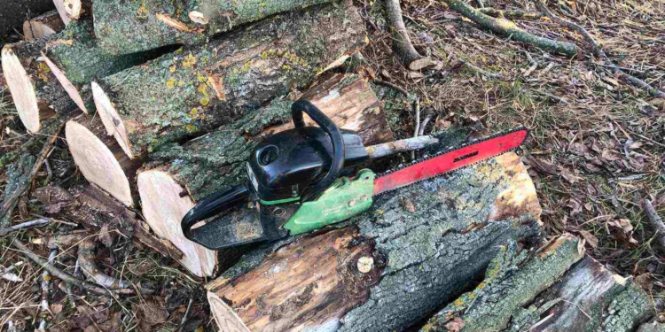 У Первомайському районі під суд підуть «чорні лісоруби» (ФОТО)