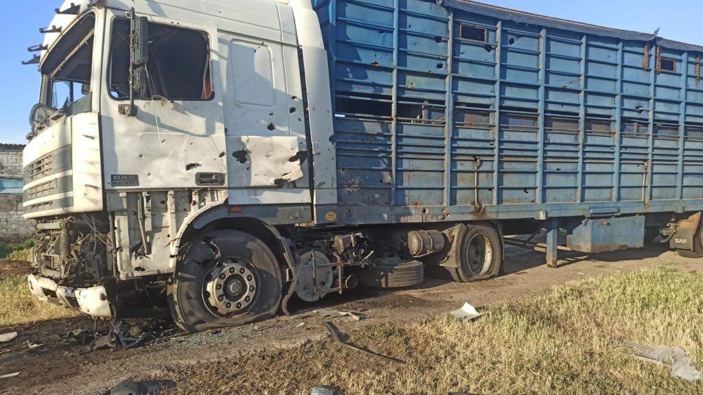 До Дрогобича евакуювали 120 корів з розбомбленої рашистами ферми на Николаївщині (ФОТО) 3