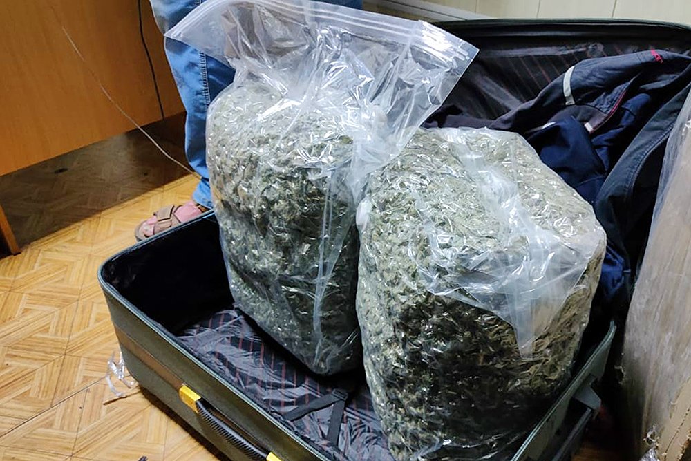 На Миколаївщині затримали наркодилера з 11 кг шишок канабісу на майже 3 млн грн. (ФОТО) 3