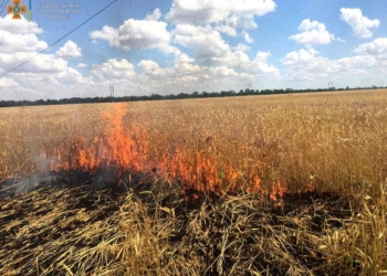 З 18 пожеж на Миколаївщині за добу три – внаслідок ворожих обстрілів (ФОТО)