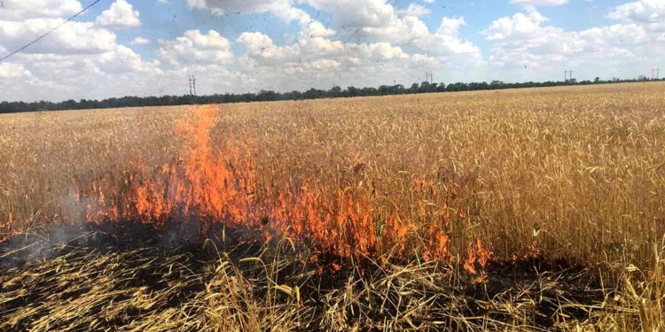 З 18 пожеж на Миколаївщині за добу три – внаслідок ворожих обстрілів (ФОТО)
