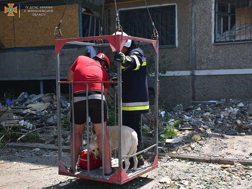 Из разрушенной россиянами 5-этажки в Николаеве спасли не только мужчину, а и его собаку (ФОТО, ВИДЕО) 5