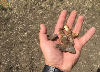 За добу на Миколаївщині з 9 пожеж дві – через обстріли (ФОТО, ВІДЕО)