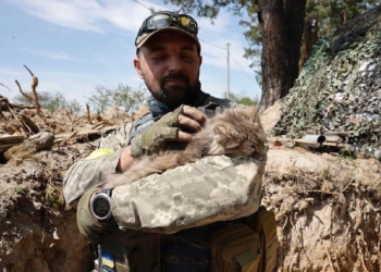 Разом проходять гарт війною: в Міноборони показали, хто з чотирилапих допомагає нашим захисникам боронити Україну (ФОТО)