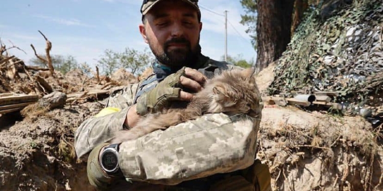 Разом проходять гарт війною: в Міноборони показали, хто з чотирилапих допомагає нашим захисникам боронити Україну (ФОТО)