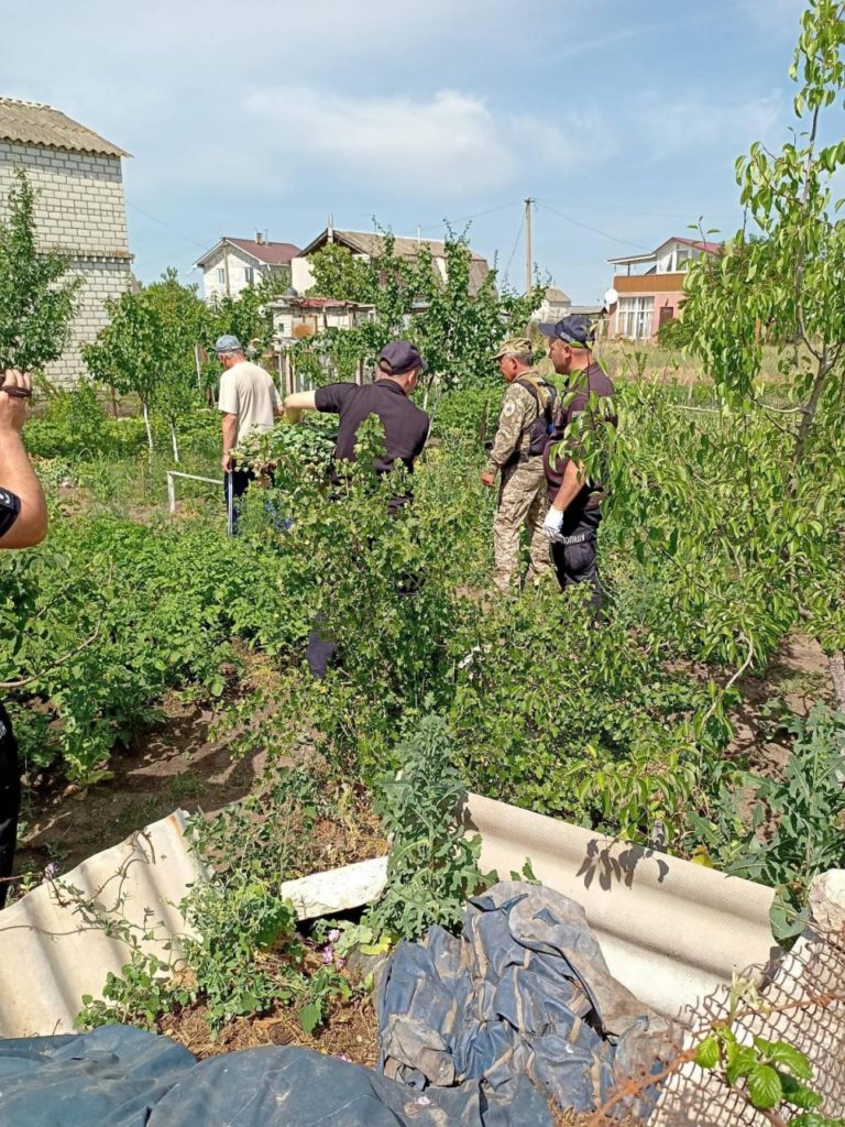 На Миколаївщині обласна варта разом з поліцейськими знищили плантацію снодійного маку (ФОТО) 8