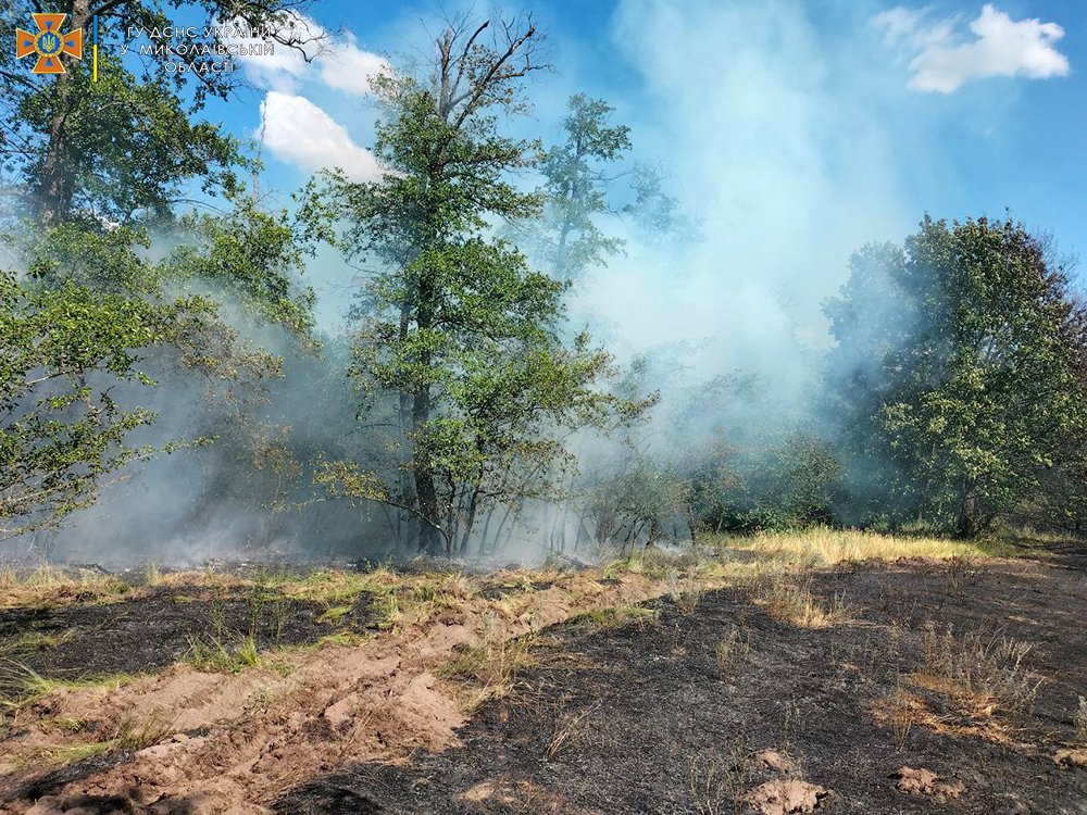 На Миколаївщині за добу з 14 пожеж 6 були через російські обстріли (ФОТО, ВІДЕО) 9