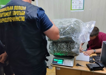 На Миколаївщині затримали наркодилера з 11 кг шишок канабісу на майже 3 млн грн. (ФОТО)