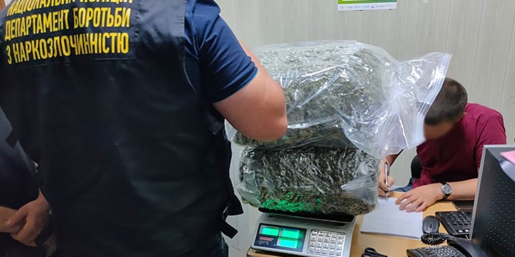 На Миколаївщині затримали наркодилера з 11 кг шишок канабісу на майже 3 млн грн. (ФОТО)