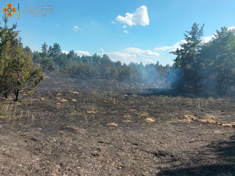 На Миколаївщині за добу з 14 пожеж 6 були через російські обстріли (ФОТО, ВІДЕО) 15