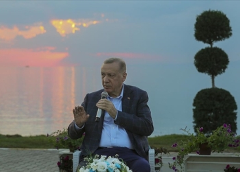 “Западу верить нельзя”. Эрдоган планирует переговоры Зеленского и путина на этой неделе