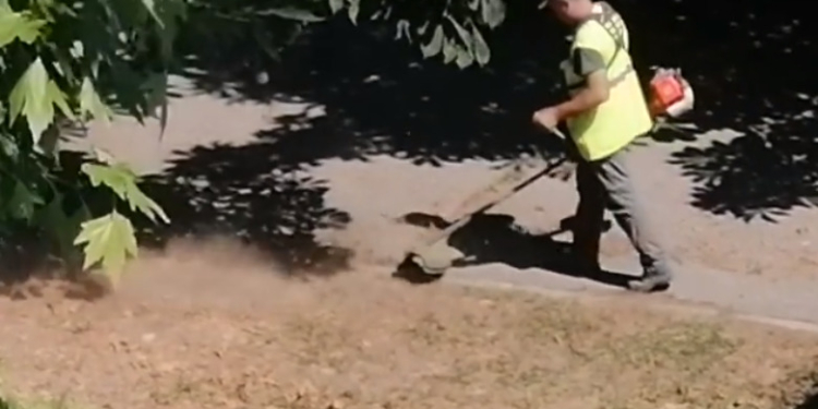 Стрижка пересохшей пыли: зачем в Николаеве коммунальщики платят за покос сгоревших газонов? (ВИДЕО)