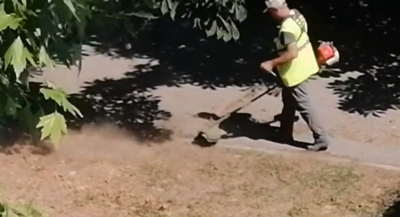 Стрижка пересохшей пыли: зачем в Николаеве коммунальщики платят за покос сгоревших газонов? (ВИДЕО)