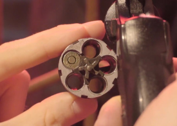 Опрос в Дія о личном оружии завершен: за свободное владение оружием высказались почти 59%