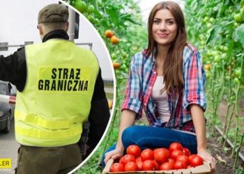 Работа в Польше: как искать, сколько платят