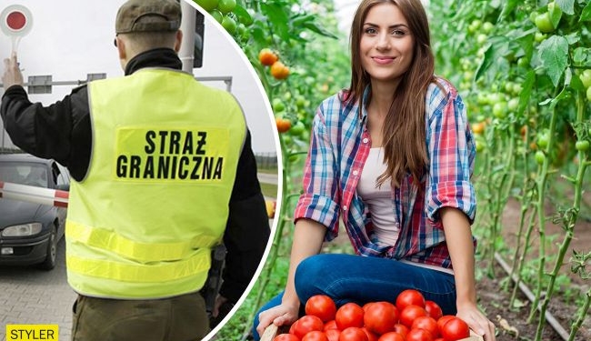 Работа в Польше: как искать, сколько платят