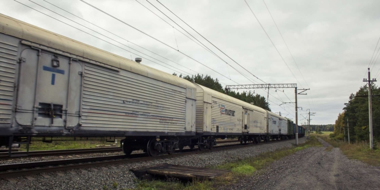 В Мелитополе городской мясокомбинат превратили в морг, но он уже забит телами рашистов