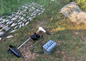 На околицях Миколаєва браконьєри сітками виловили 40 кг карася (ФОТО)