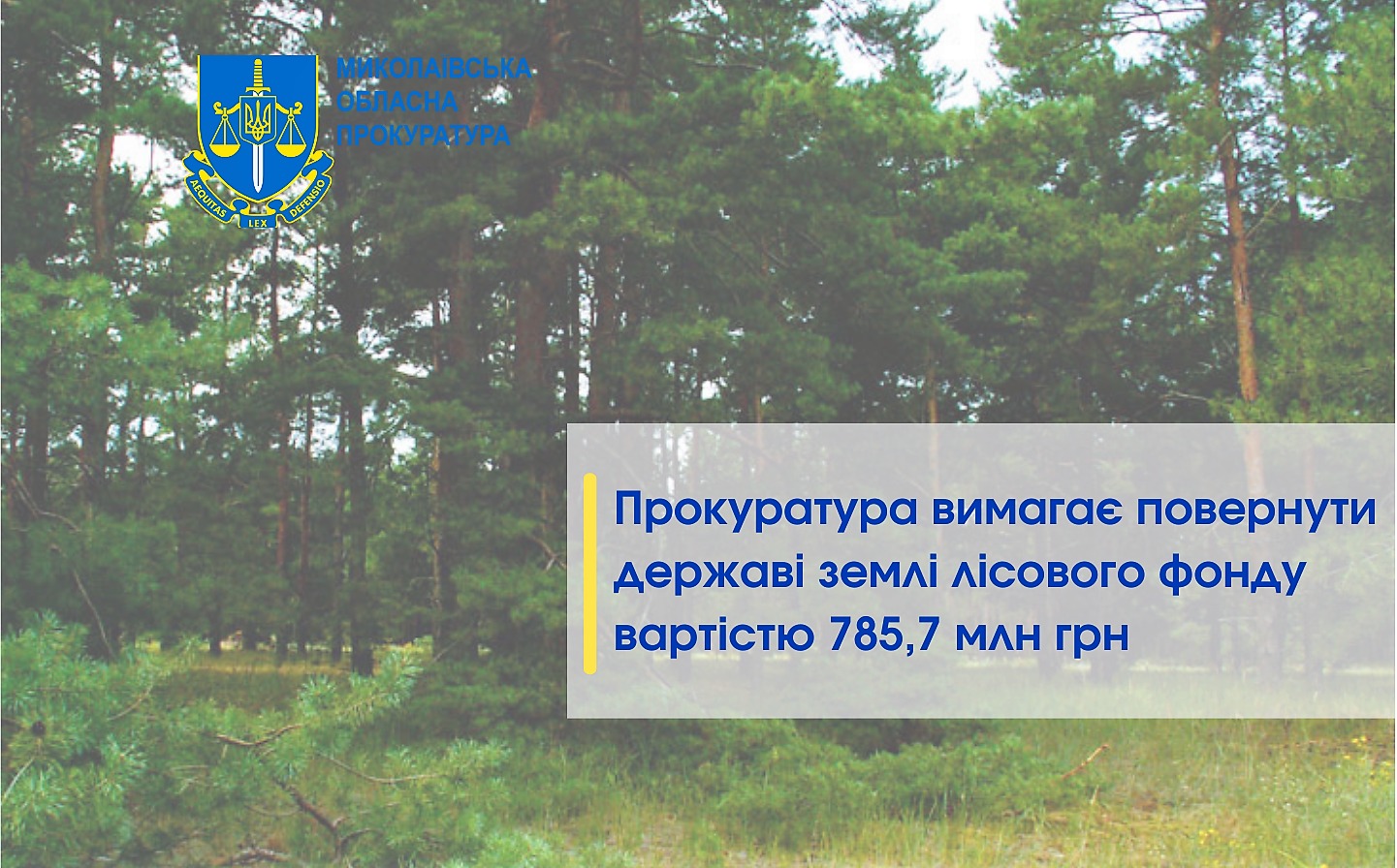 На Миколаївщині Держгеокадастр включив 50 га лісів у землі сільгосппризначення і передав їх Мостівській сільській раді