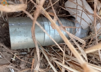 Через обстріли на Миколаївщині вигоріло 4,5 га відкритих територій. Всі пожежі за добу (ФОТО)