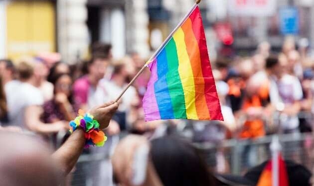 Петиція щодо легалізацію одностатевих шлюбів набрала необхідну кількість голосів