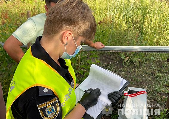 На Миколаївщині подружжя вбило, розчленувало й закопало свого товариша по чарці (ФОТО, ВІДЕО) 1