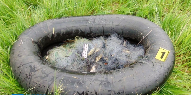 Мешканцю Казанки повідомили про підозру за незаконний вилов риби (ФОТО)