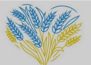 9 школярів з Миколаєва стали переможцями фінального етапу ХІІ Міжнародного мовно-літературного конкурсу імені Тараса Шевченка