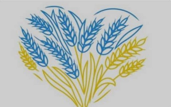 9 школярів з Миколаєва стали переможцями фінального етапу ХІІ Міжнародного мовно-літературного конкурсу імені Тараса Шевченка