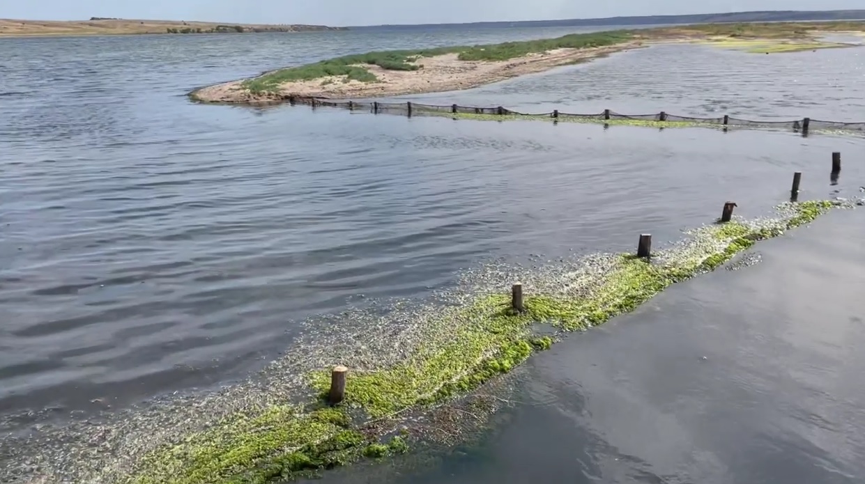 Браконьєри перегородили Тилігульський лиман і зробили собі особистий ставок (ВІДЕО)