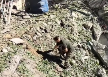 Миколаївські тероборонівці врятували контужене цуценя на місці вибуху російської ракети (ВІДЕО)