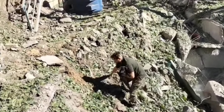 Миколаївські тероборонівці врятували контужене цуценя на місці вибуху російської ракети (ВІДЕО)