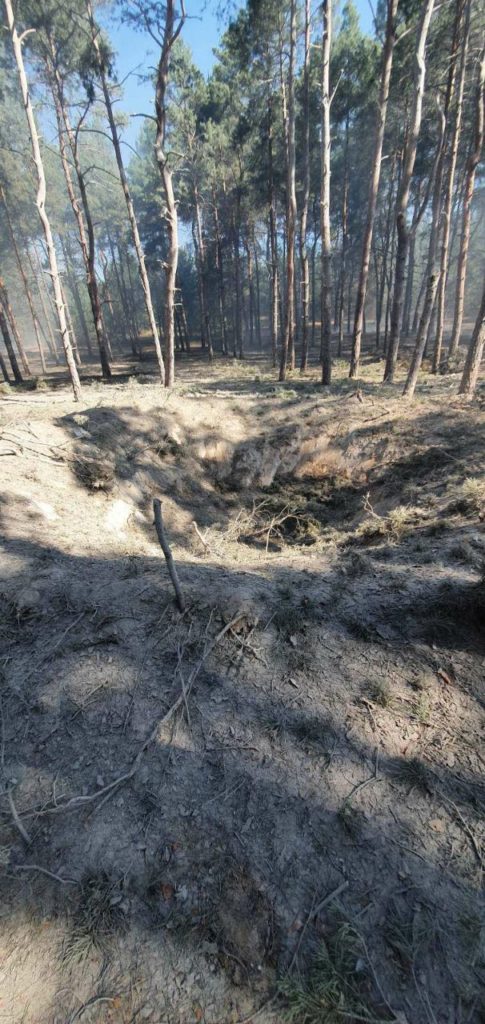Пожежу лісу поблизу Миколаєва, яка спалахнула через ранкові російські обстріли, приборкали (ФОТО, ВІДЕО) 1