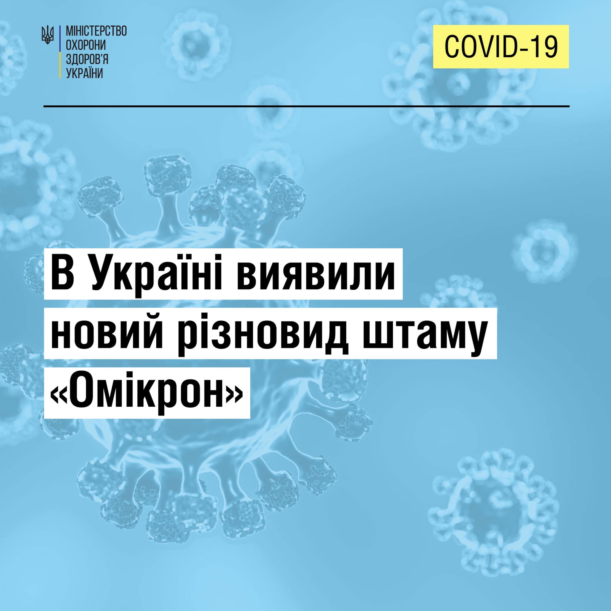 В Україні виявили новий різновид штаму «Омікрон»