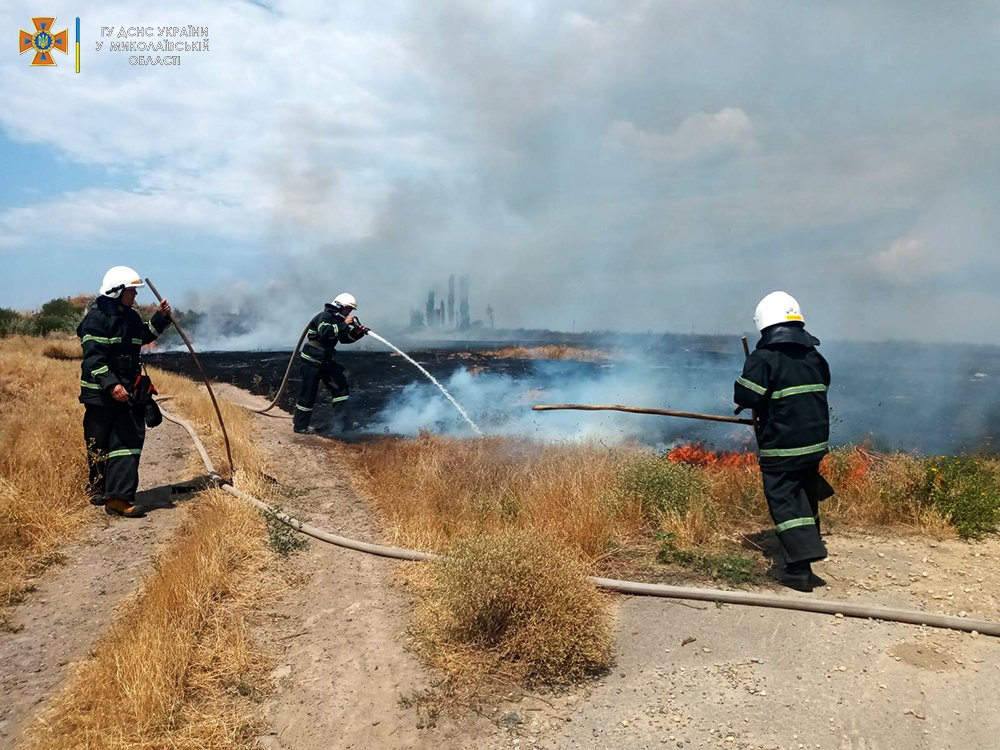 На Миколаївщині вигоріло більше 29 га відкритих територій (ФОТО) 2