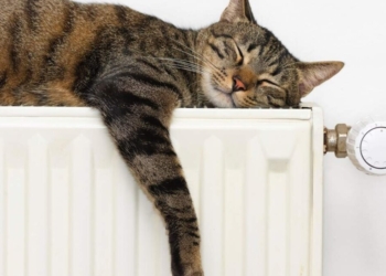 Коли розпочнеться цьогорічний опалювальний сезон в Україні