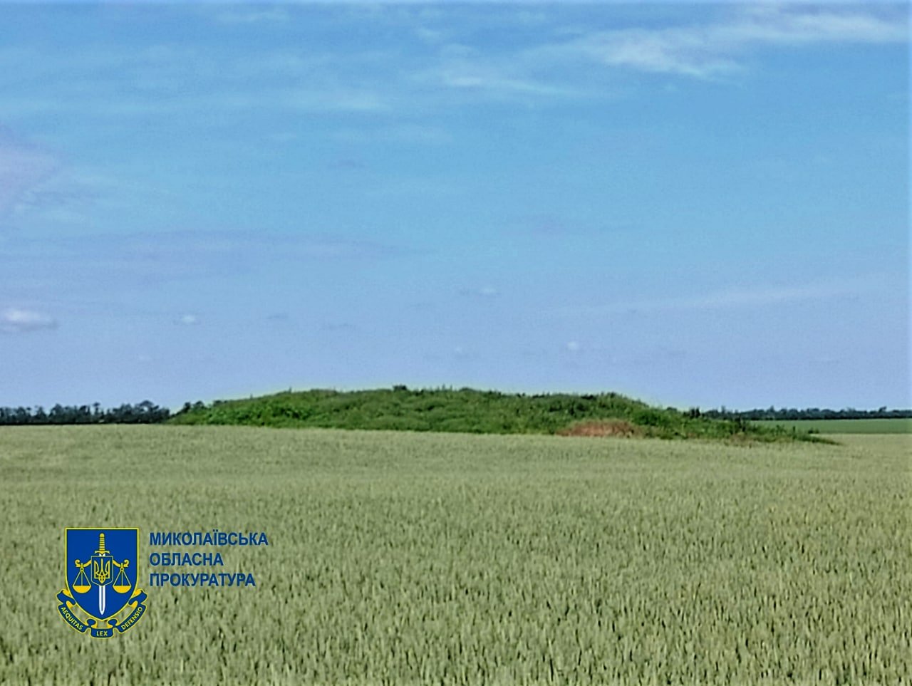 На Миколаївщині прокуратура через суд хоче повернути державі курган, який передали у приватну власність