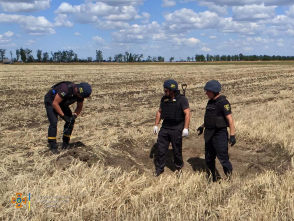 Через російські обстріли на Миколаївщині горів ліс та поля. Повне зведення по пожежам за добу (ФОТО) 20