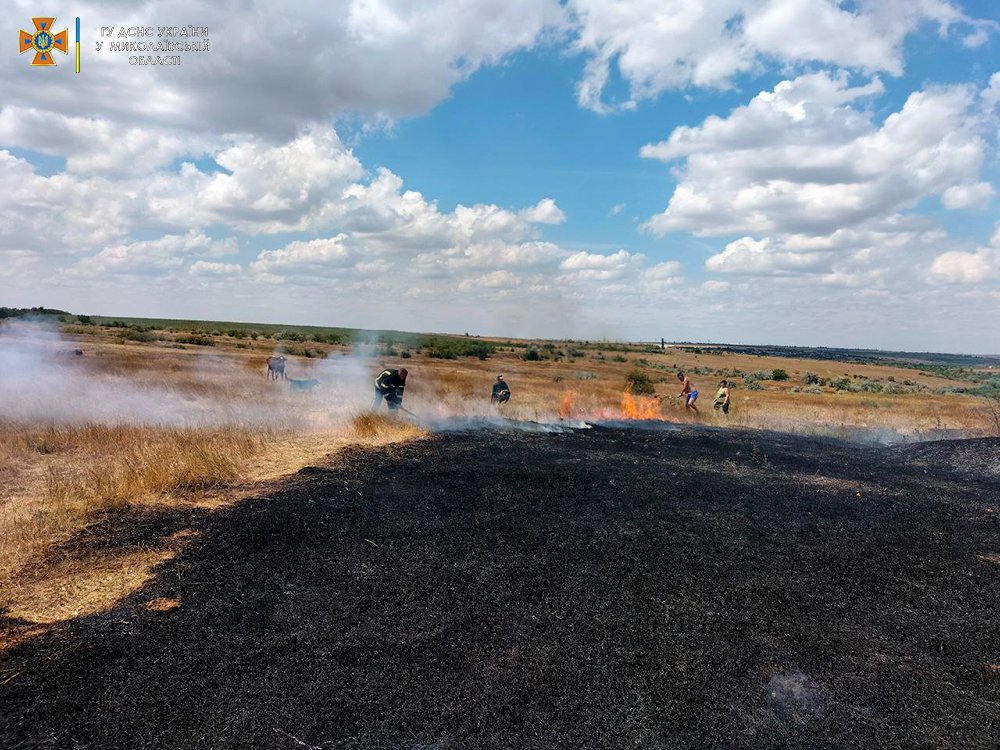 На Миколаївщині з 11 пожеж за добу одна виникла через російські обстріли (ФОТО) 22