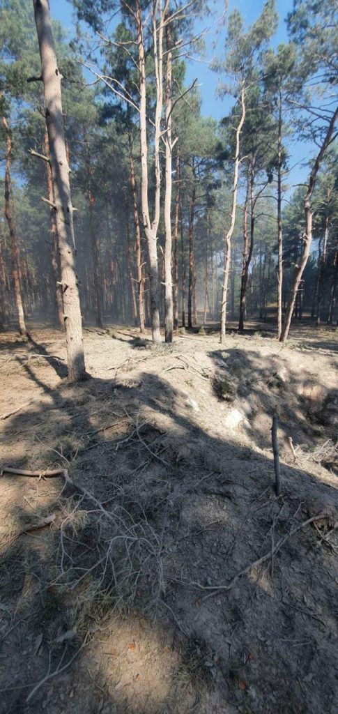 Пожежу лісу поблизу Миколаєва, яка спалахнула через ранкові російські обстріли, приборкали (ФОТО, ВІДЕО) 3