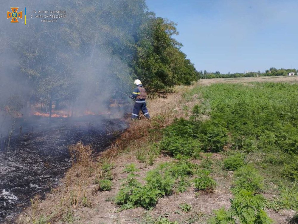 На Миколаївщині – 27 пожеж за добу, на двох травмувалися люди (ФОТО) 3