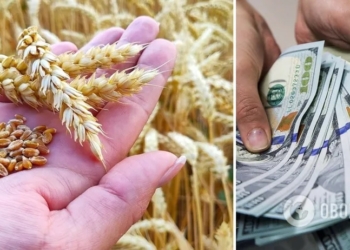 Украина из-за россии потеряет 65% экспорта зерна – британская разведка