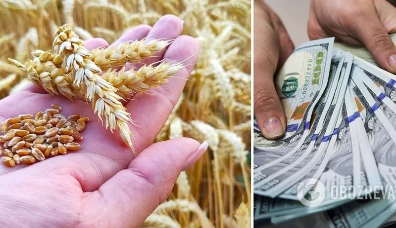 Украина из-за россии потеряет 65% экспорта зерна – британская разведка