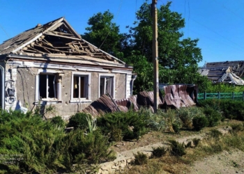 Через російські обстріли на Миколаївщині горів ліс та поля. Повне зведення по пожежам за добу (ФОТО)