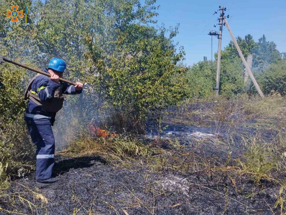 На Миколаївщині – 27 пожеж за добу, на двох травмувалися люди (ФОТО) 5