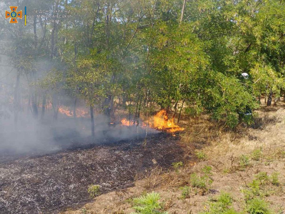 На Миколаївщині – 27 пожеж за добу, на двох травмувалися люди (ФОТО) 7