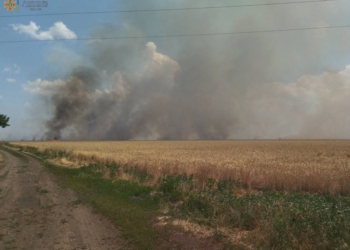 Через обстріли на Миколаївщині вигоріло 4,5 га відкритих територій. Всі пожежі за добу (ФОТО)