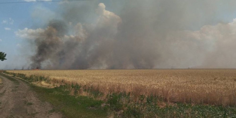 Через обстріли на Миколаївщині вигоріло 4,5 га відкритих територій. Всі пожежі за добу (ФОТО)