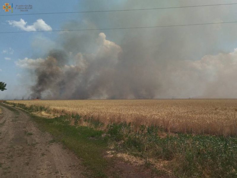 Через обстріли на Миколаївщині вигоріло 4,5 га відкритих територій. Всі пожежі за добу (ФОТО)